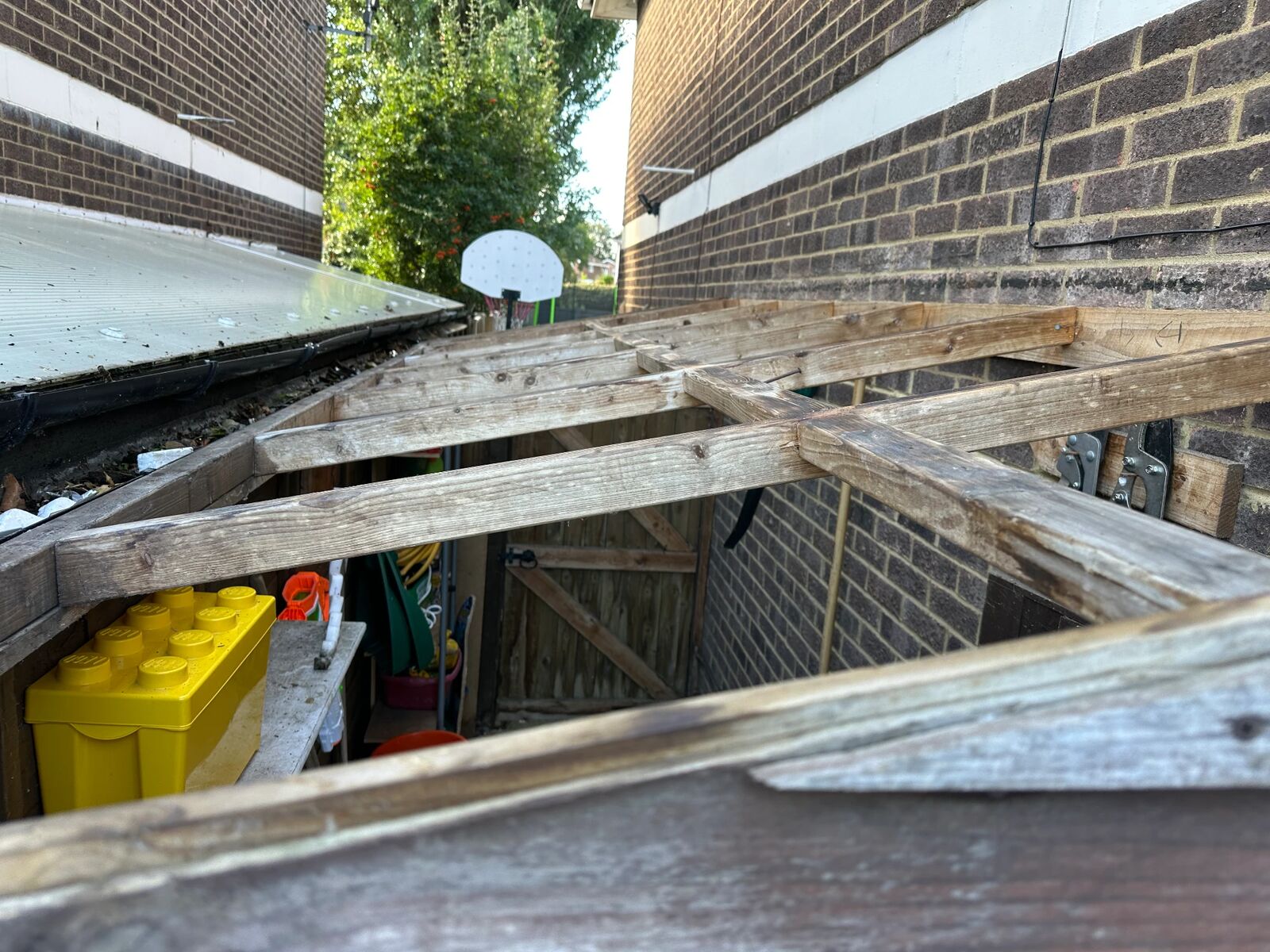 Exposed timber rafters of a lean-to roof after the old corrugated sheets were removed
