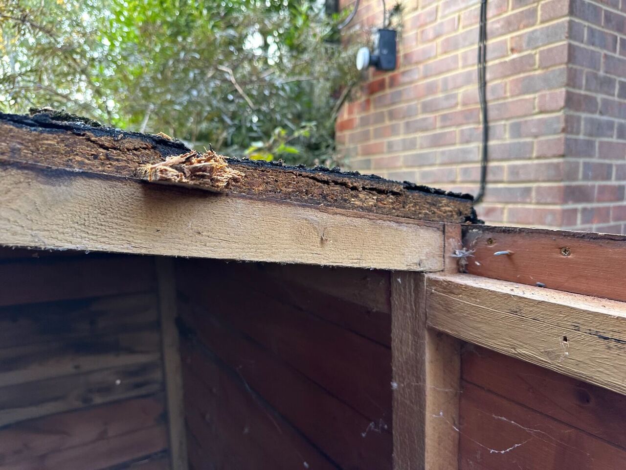 Close-up of swollen, crumbling chipboard at the edge of an old shed roof with the roofing felt still attached